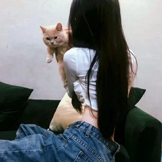 藏珠